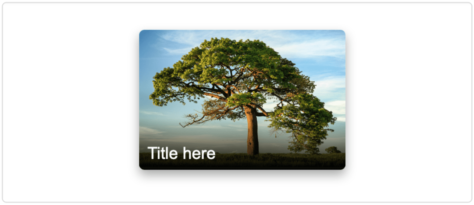 image-20250325223609237